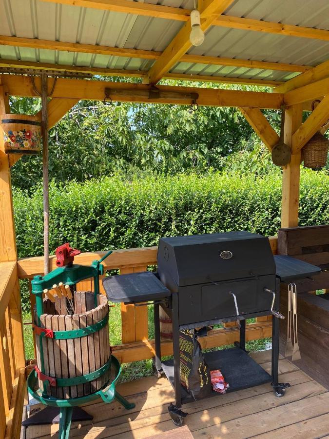 Zimmer Feri Vendeghaz Hotell Abaújszántó Exteriör bild